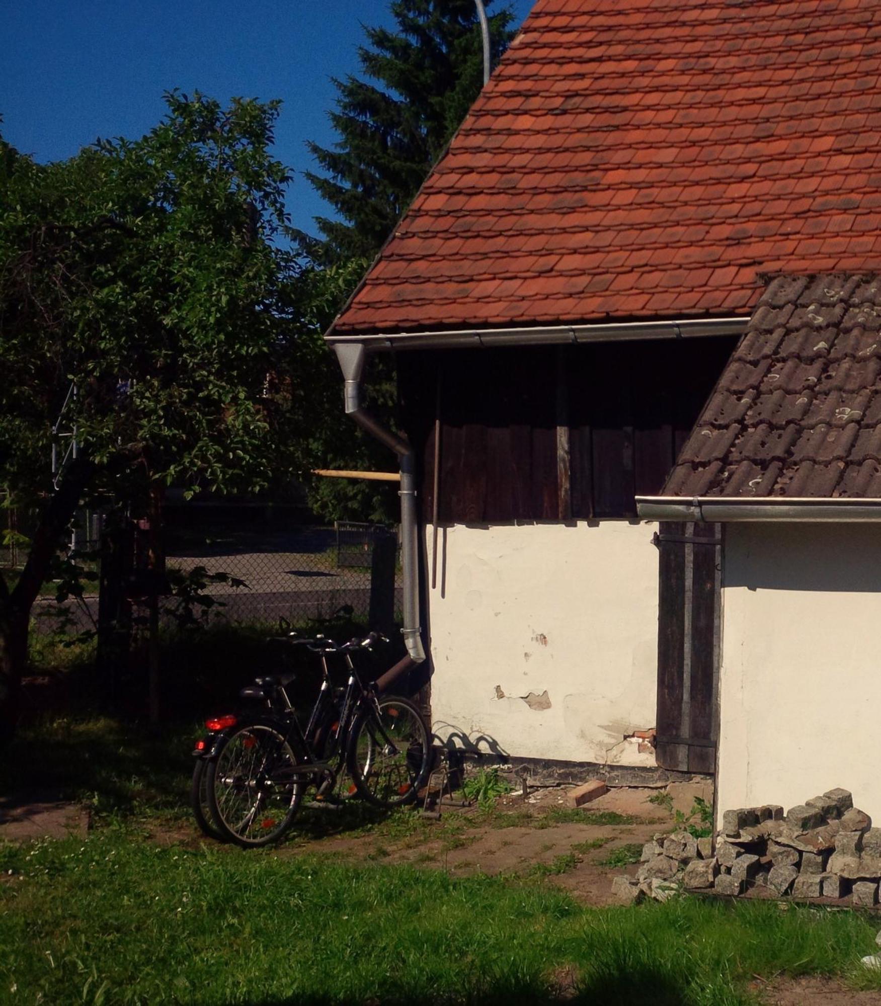 Froehlich *